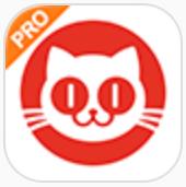 猫眼全网热度榜